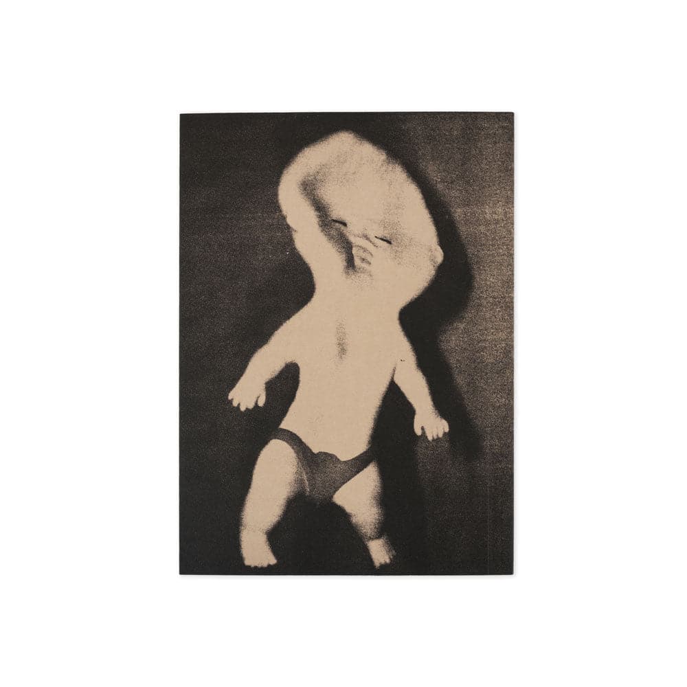 Polar 'Everything Is Normal' Book - Image 5
